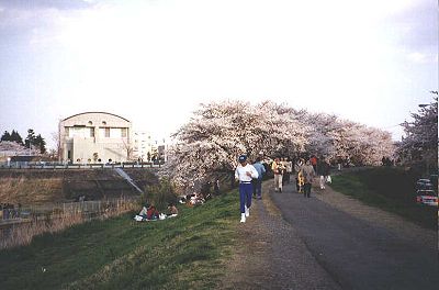 ばかラン