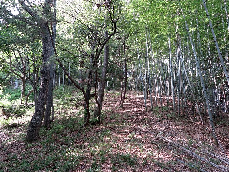 映画「転校生」ロケ地散歩